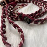 Paracord Leine