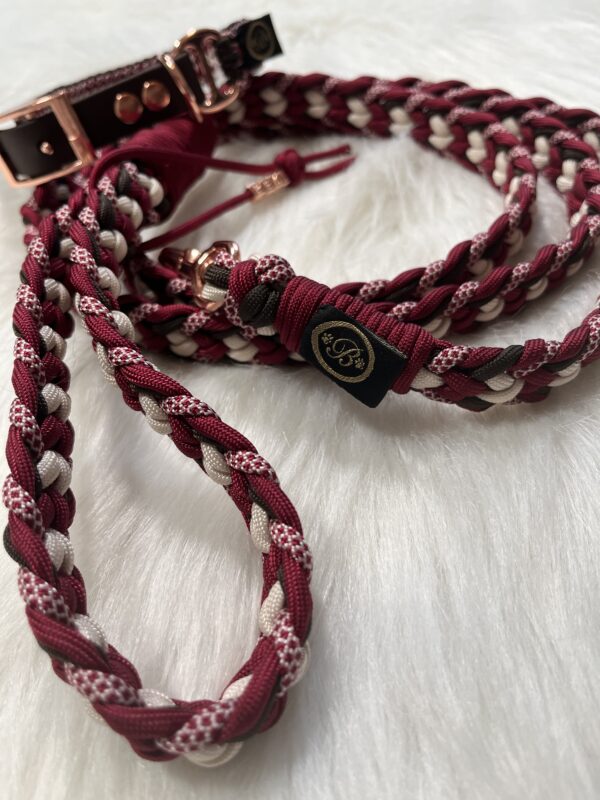 Paracord Leine