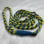 Paracord Leine