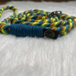 Paracord Leine