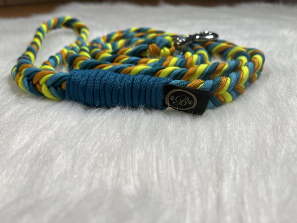 Paracord Leine