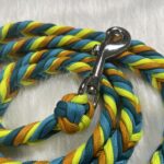 Paracord Leine