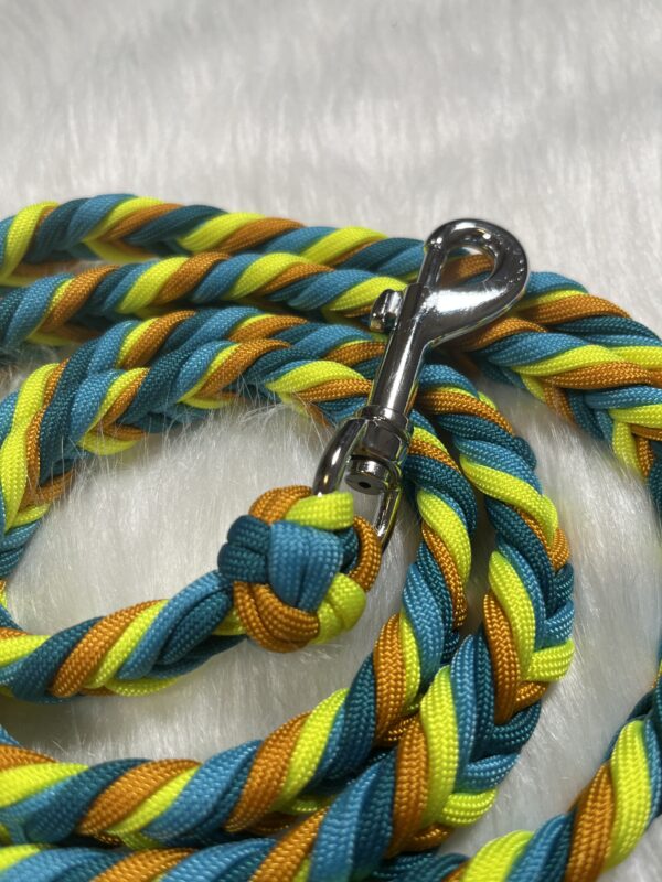 Paracord Leine