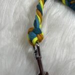 Paracord Leine