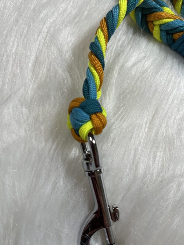 Paracord Leine