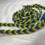 Paracord Leine