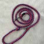 Paracord Leine
