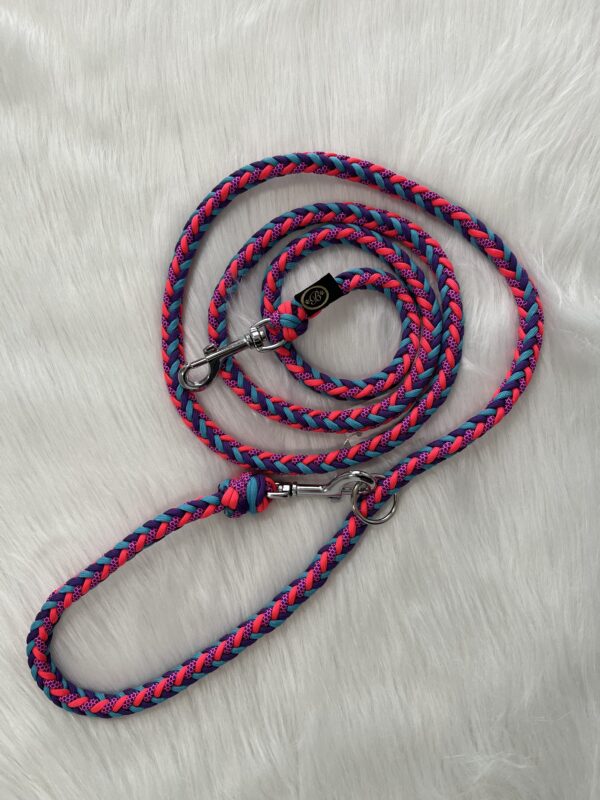 Paracord Leine