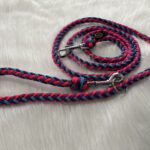 Paracord Leine