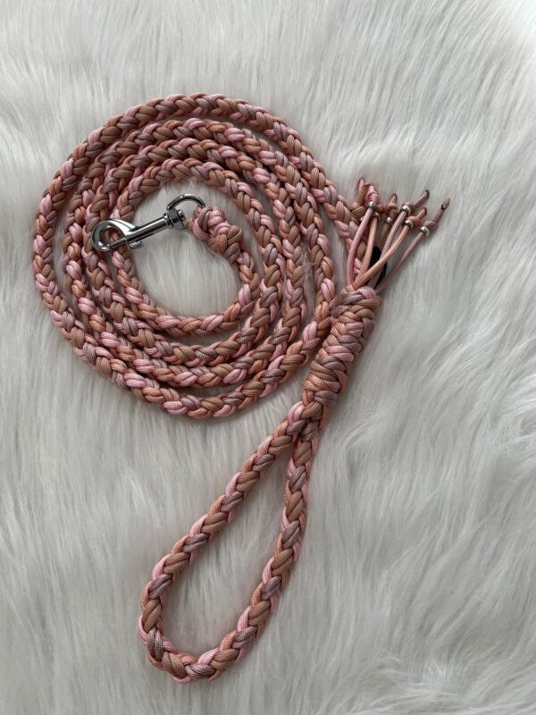 Paracord Leine