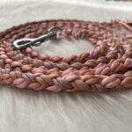 Paracord Leine