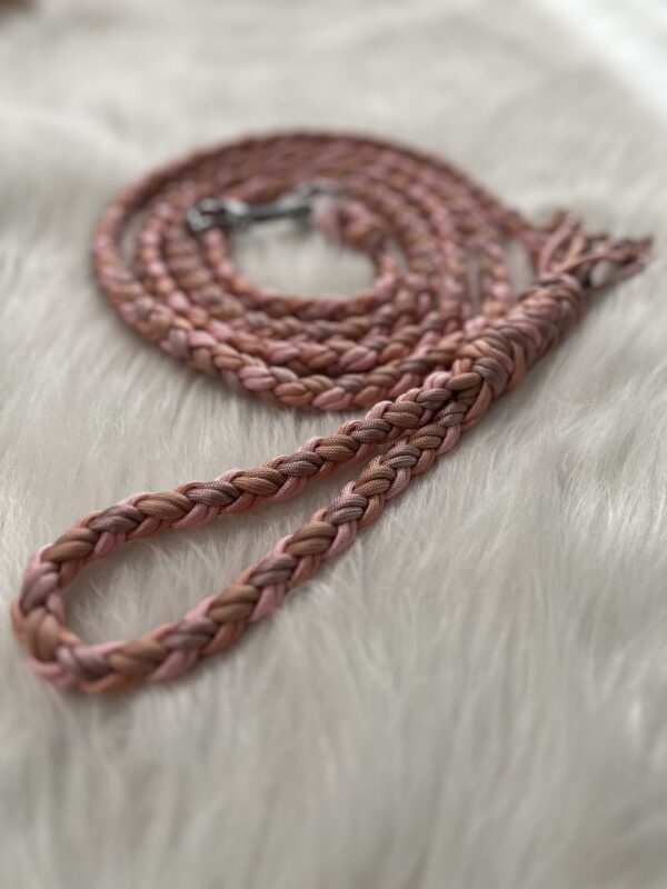 Paracord Leine