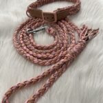 Paracord Leine