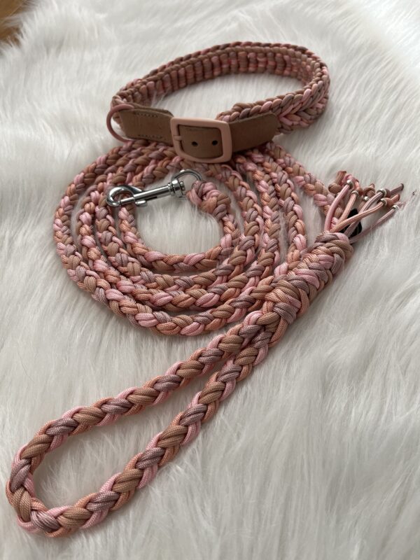Paracord Leine