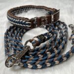 Paracord Leine