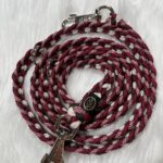 Paracord Leine