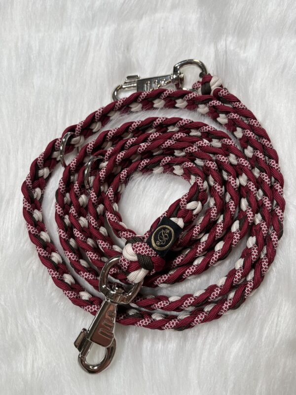 Paracord Leine