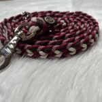 Paracord Leine