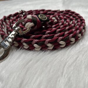 Paracord Leine