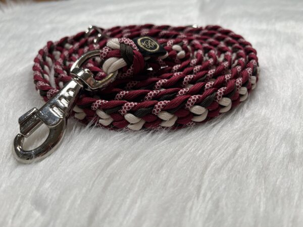 Paracord Leine