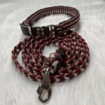 Paracord Leine