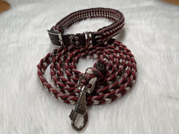 Paracord Leine