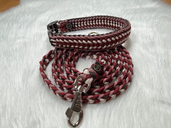 Paracord Leine