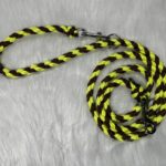 Paracord Leine