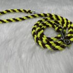 Paracord Leine