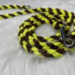 Paracord Leine