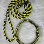Paracord Halsband und Leine