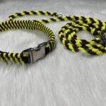 Paracord Halsband und Leine