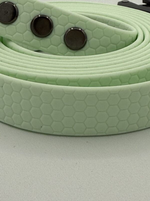 Hexa Leine 2 cm breit