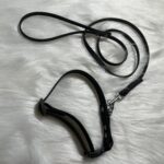Hexa Halsband inkl. Leine