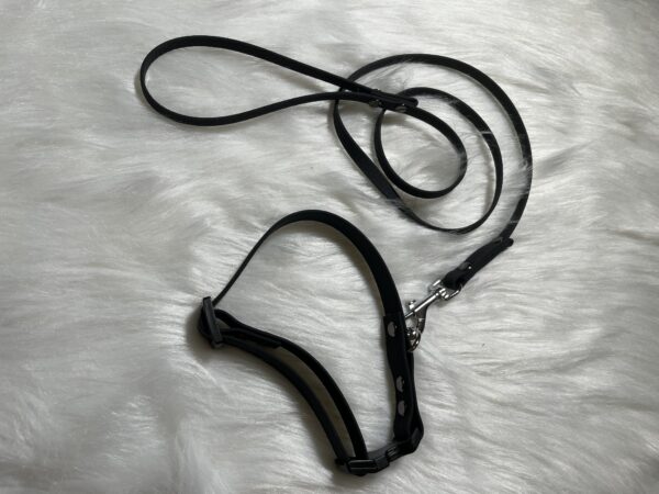 Hexa Halsband inkl. Leine