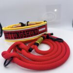 Rettungshund Halsband